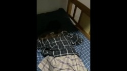 预览图4