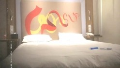 预览图4