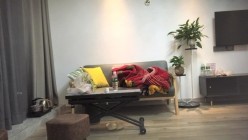 预览图2