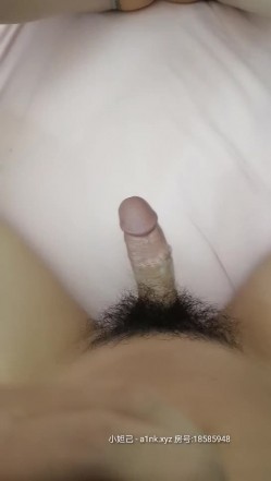 预览图14
