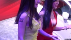 预览图2