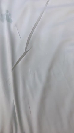 预览图7
