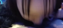 预览图16