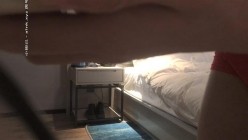 预览图2