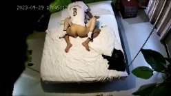 预览图9