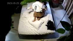 预览图14