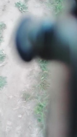 预览图12