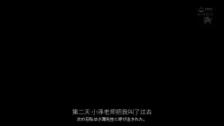 预览图4