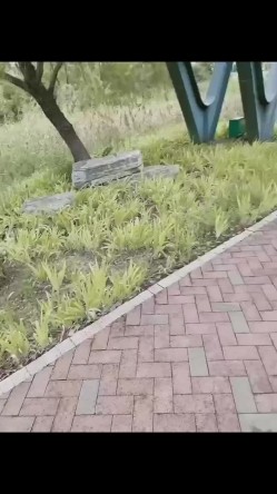 预览图2