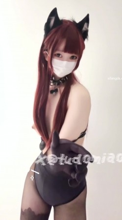预览图14