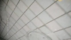 预览图7