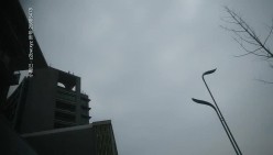 预览图15