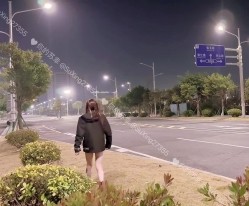 预览图4