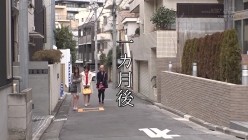 预览图11