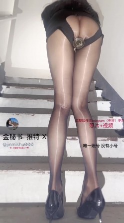 预览图5