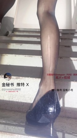 预览图12