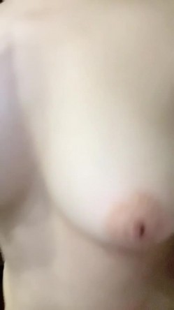预览图13