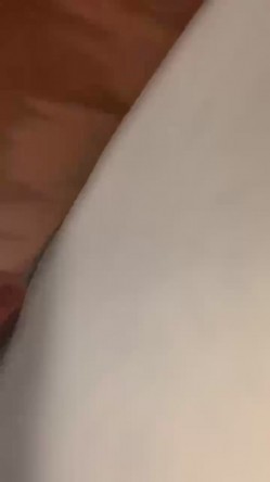 预览图13