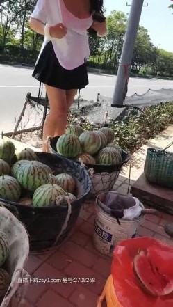 预览图4