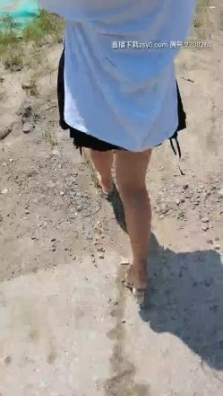 预览图7
