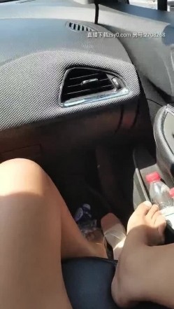 预览图9