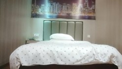 预览图5