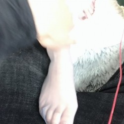 预览图7