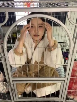 预览图2