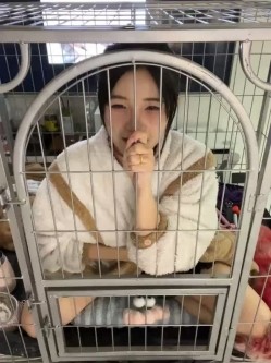 预览图4