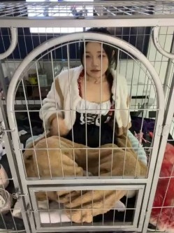 预览图6