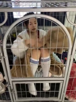 预览图7