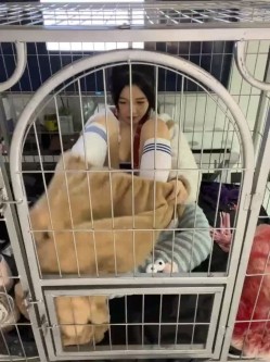 预览图8