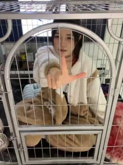 预览图9