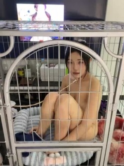 预览图13