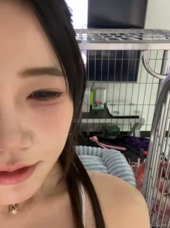 预览图15