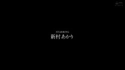 预览图16