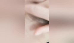 预览图4