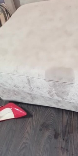预览图15