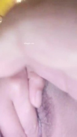 预览图4