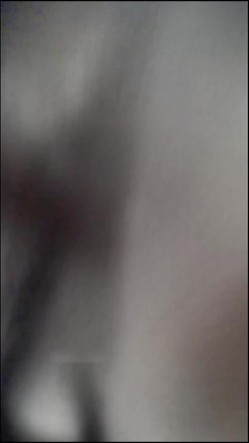 预览图4