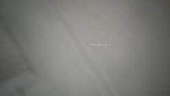 预览图16