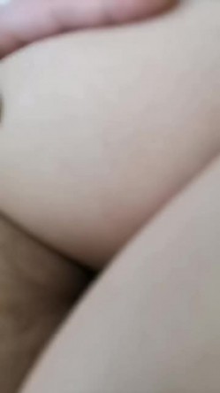 预览图13