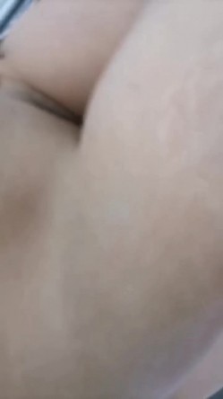 预览图14