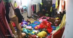 预览图2