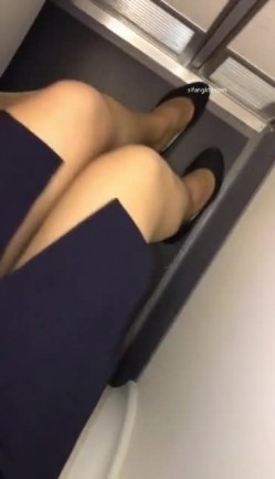 预览图4