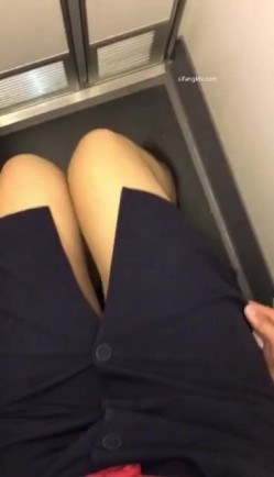 预览图6