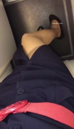 预览图7
