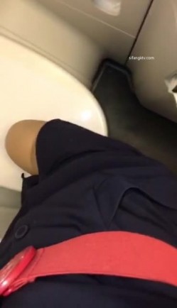 预览图9