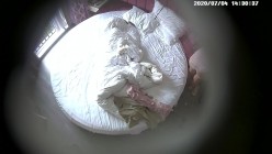 预览图10