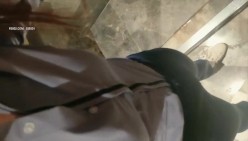 预览图5
